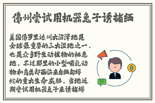 1213岁macbookpro高清